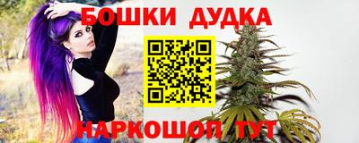 спиды Ливны